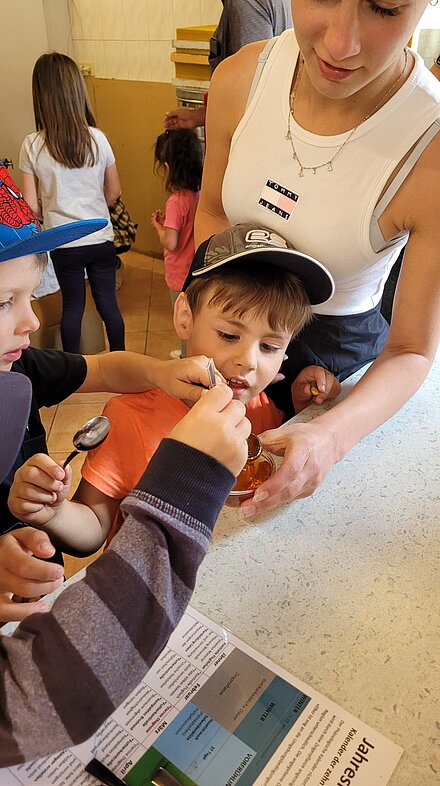 Ora una degustazione di miele Ora una degustazione di miele