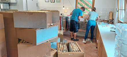 Sfioritura dei favi Sfioritura dei favi