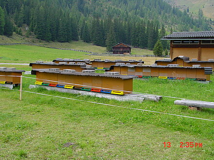 Apiario itinerante Almrosentracht Unterstalleralm Apiario itinerante Almrosentracht Unterstalleralm