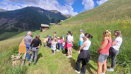 Asilo Innervillgraten presso l'apiario domestico Asilo Innervillgraten presso l'apiario domestico