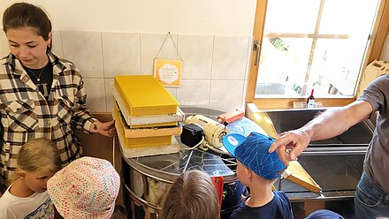 Breve guida alla cera d'api Breve guida alla cera d'api