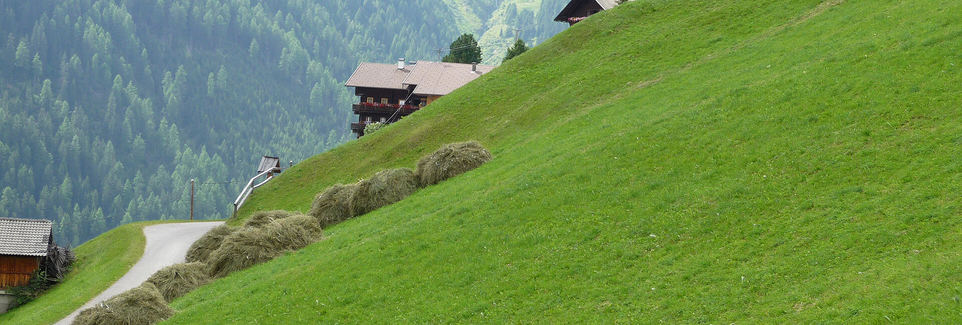 Heuballen, Futter im Winter