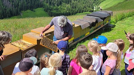 Se trattate correttamente, le api non pungono. Se trattate correttamente, le api non pungono.